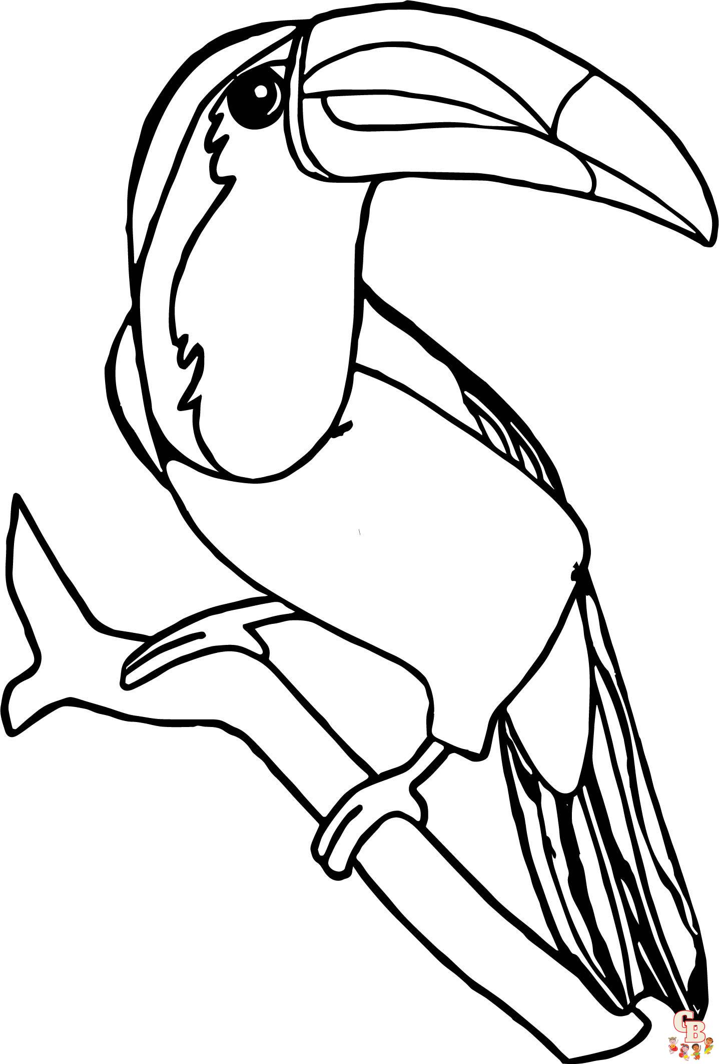 toucan coloring pages 1