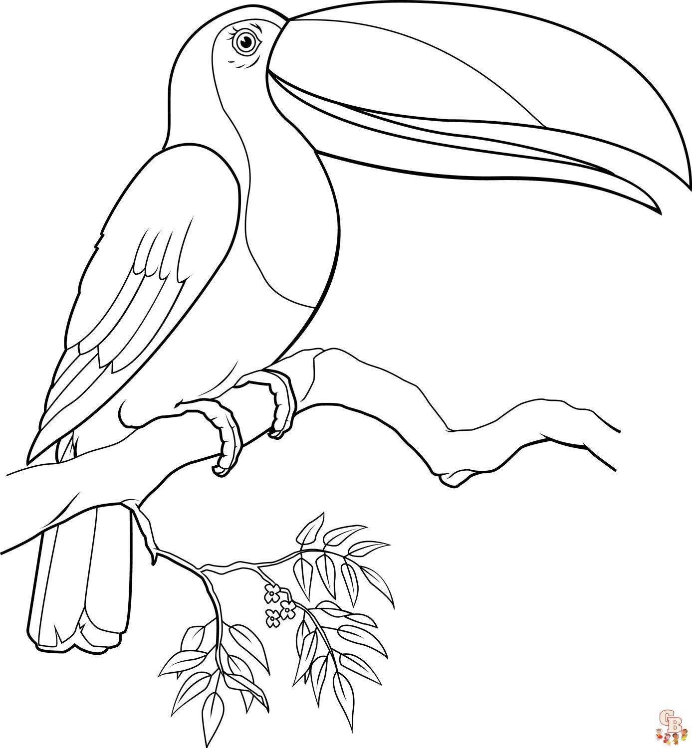 toucan coloring pages 2