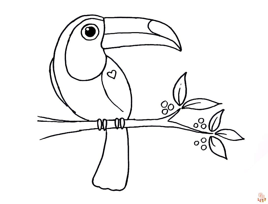 toucan coloring pages 3
