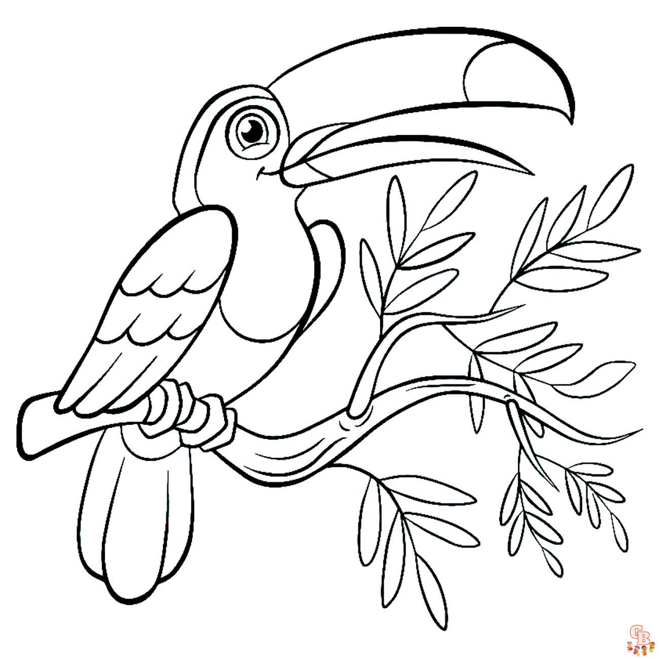 toucan coloring pages 4