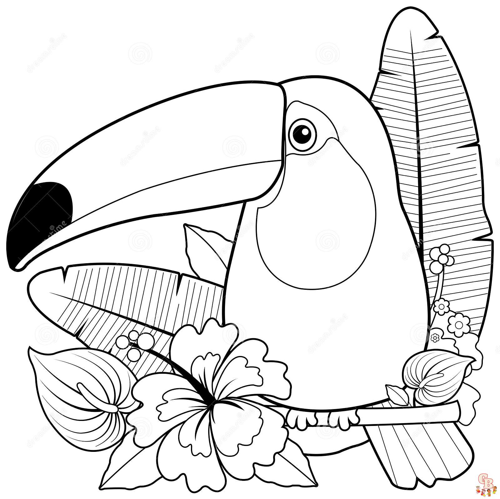 toucan coloring pages 7