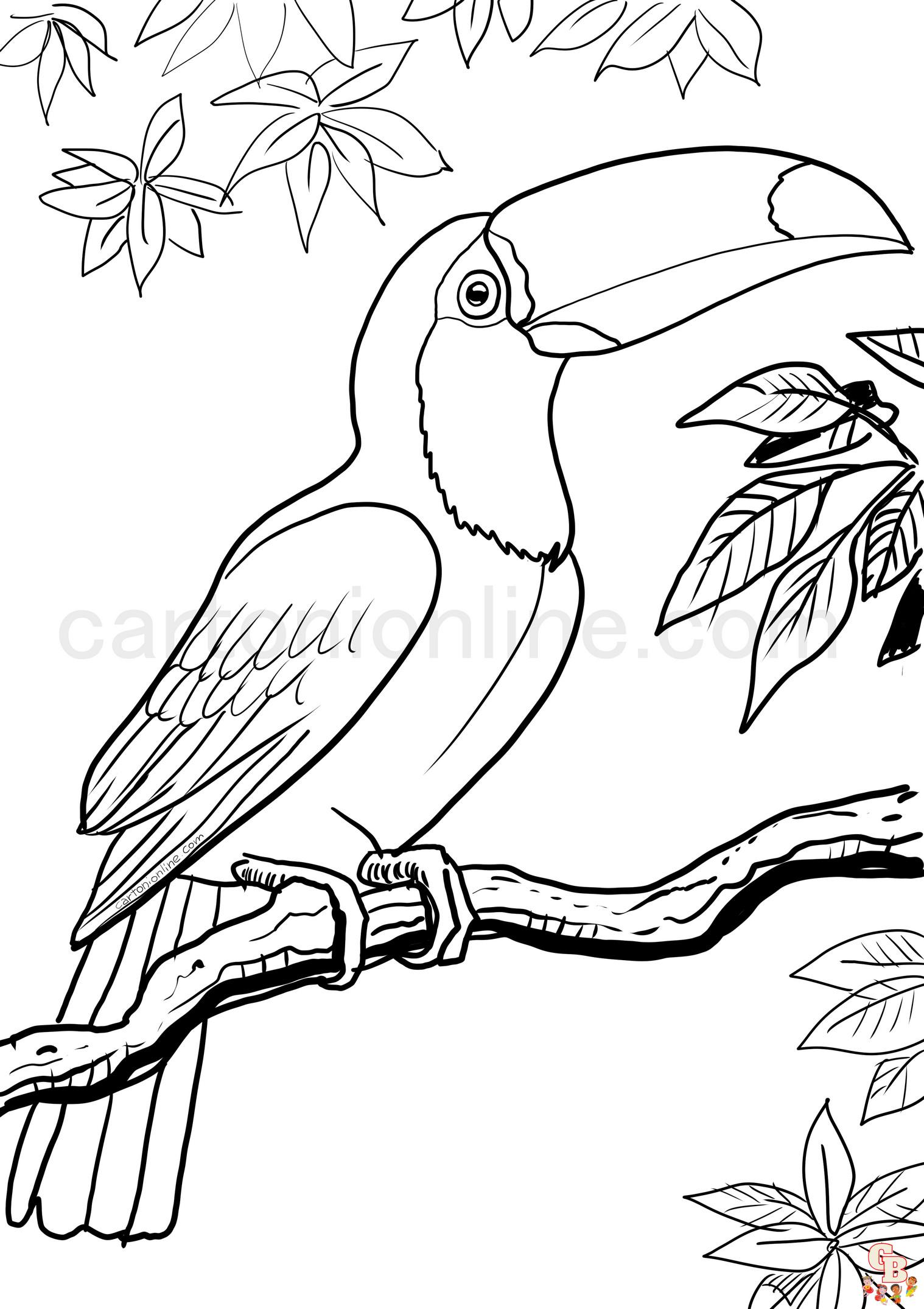 toucan coloring pages 8
