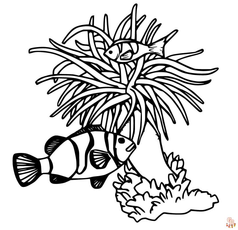 Anemone Fish Coloring Pages 10
