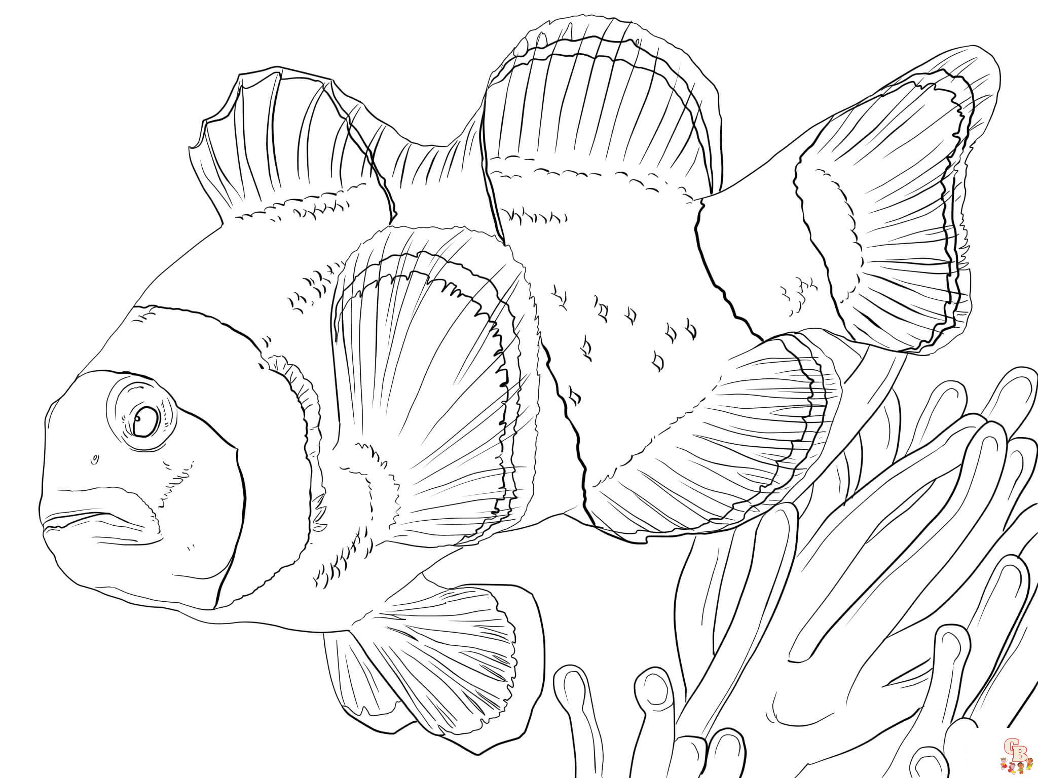 Anemone Fish Coloring Pages 4