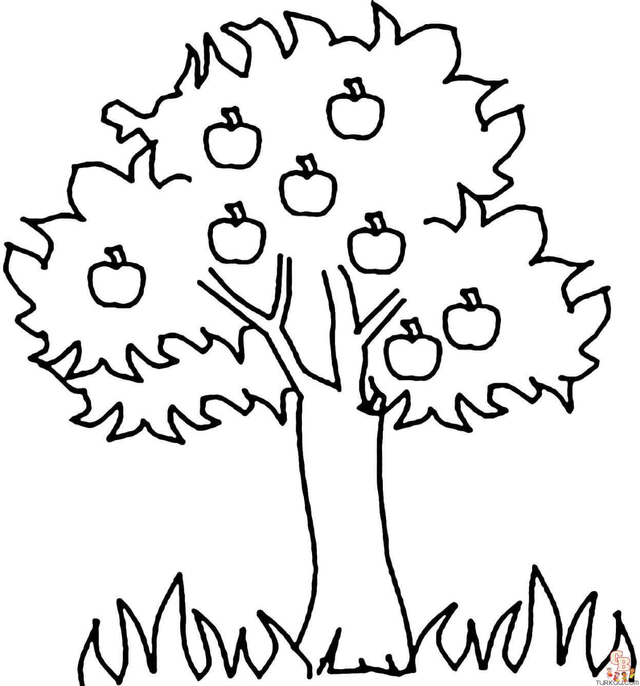 Apple Tree Coloring Pages 9