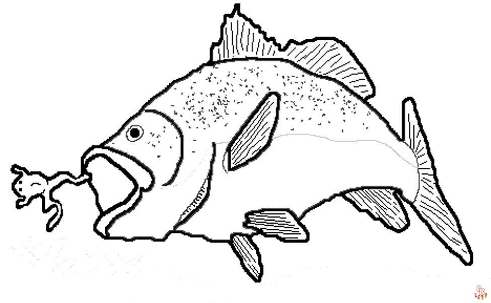 Bass Fish Coloring Pages 3