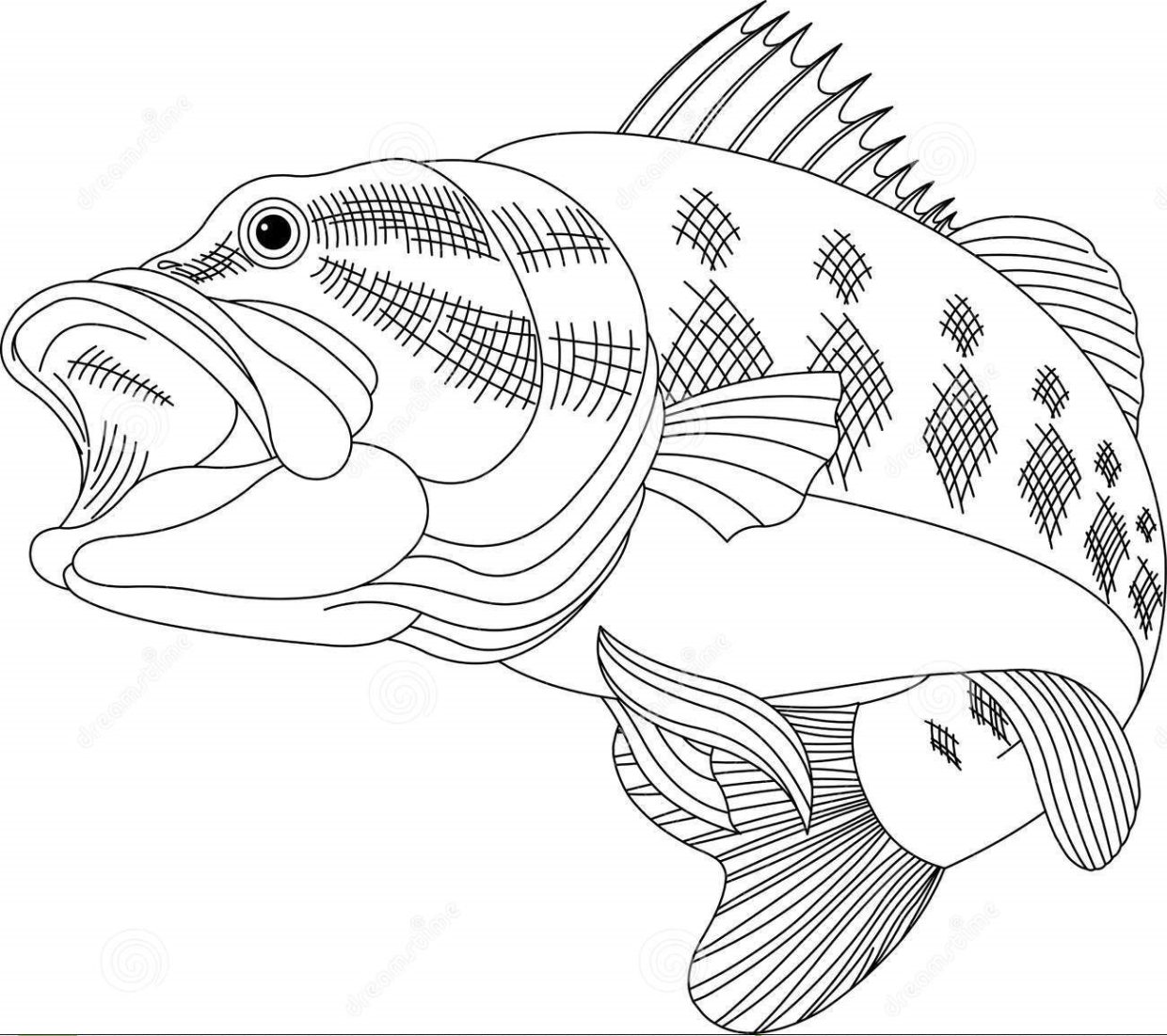 Bass Fish Coloring Pages 6