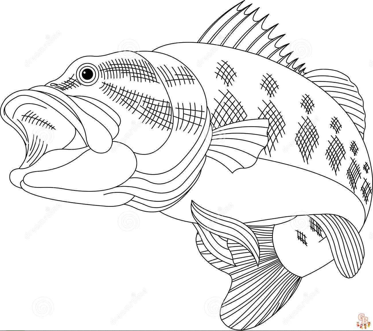 Bass Fish Coloring Pages 6