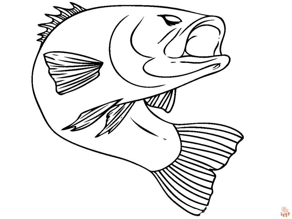 Bass Fish Coloring Pages 8