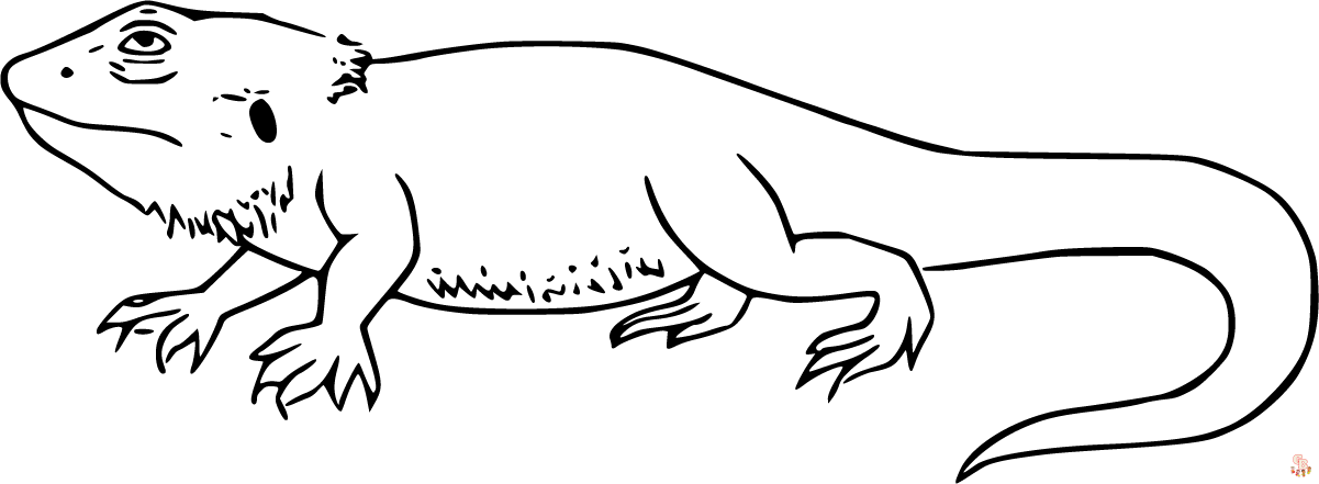 bearded dragon clipart black and white