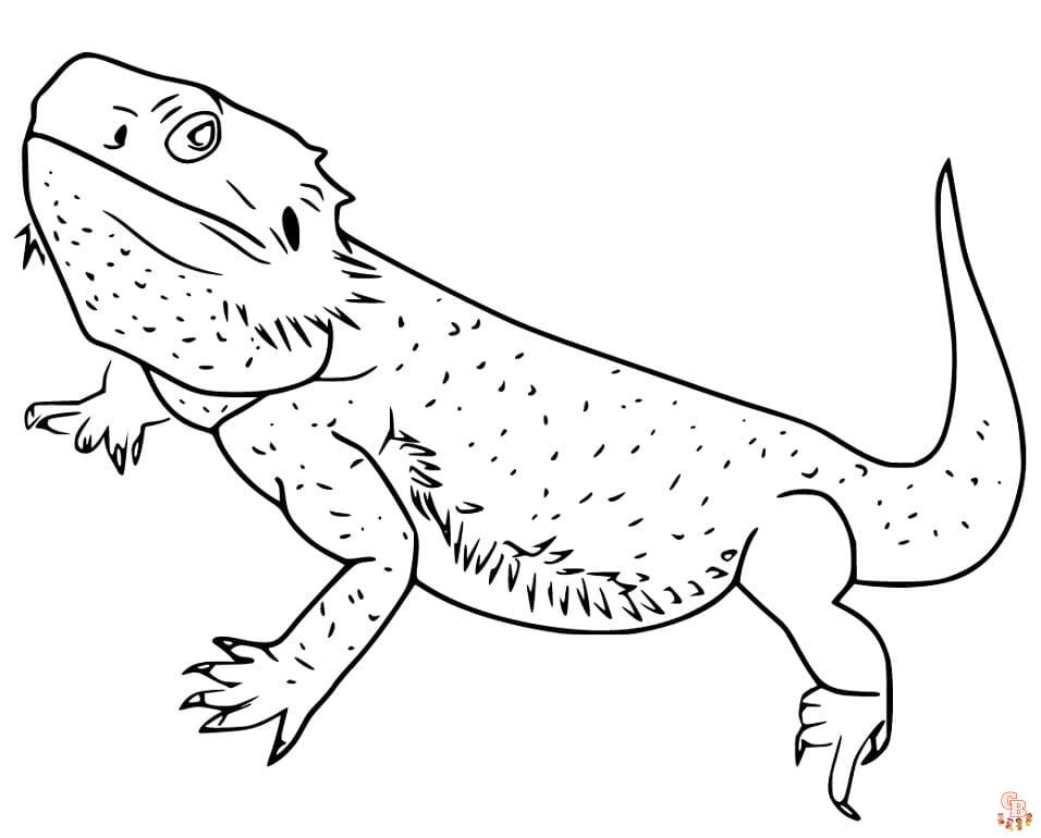 Bearded Dragon Coloring Pages 3