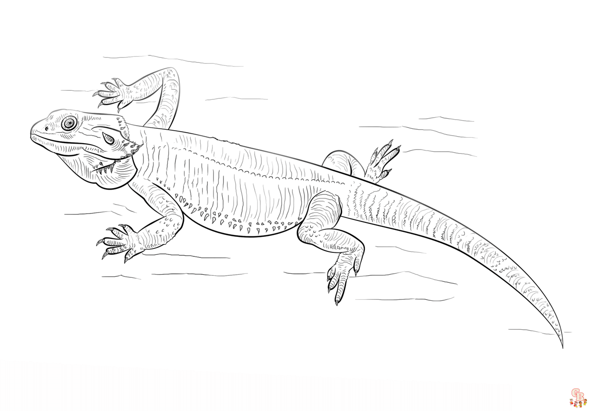 Bearded Dragon Coloring Pages 4