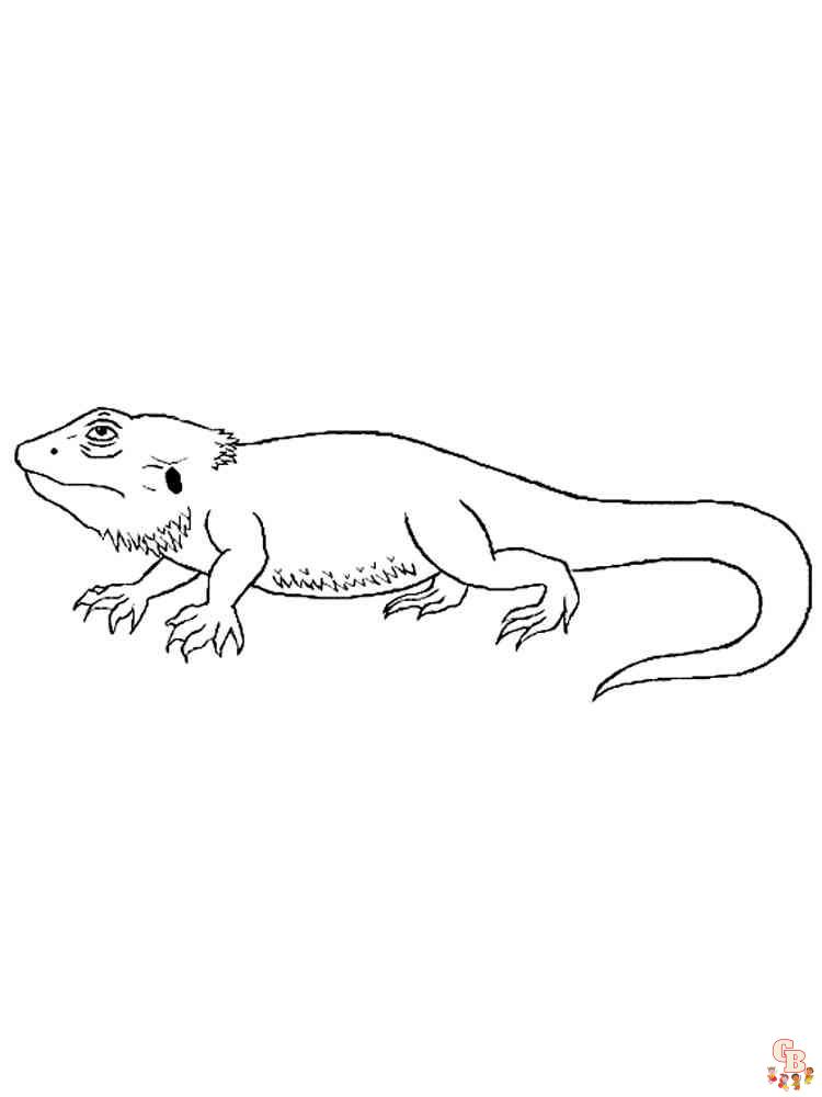 Bearded Dragon Coloring Pages 6