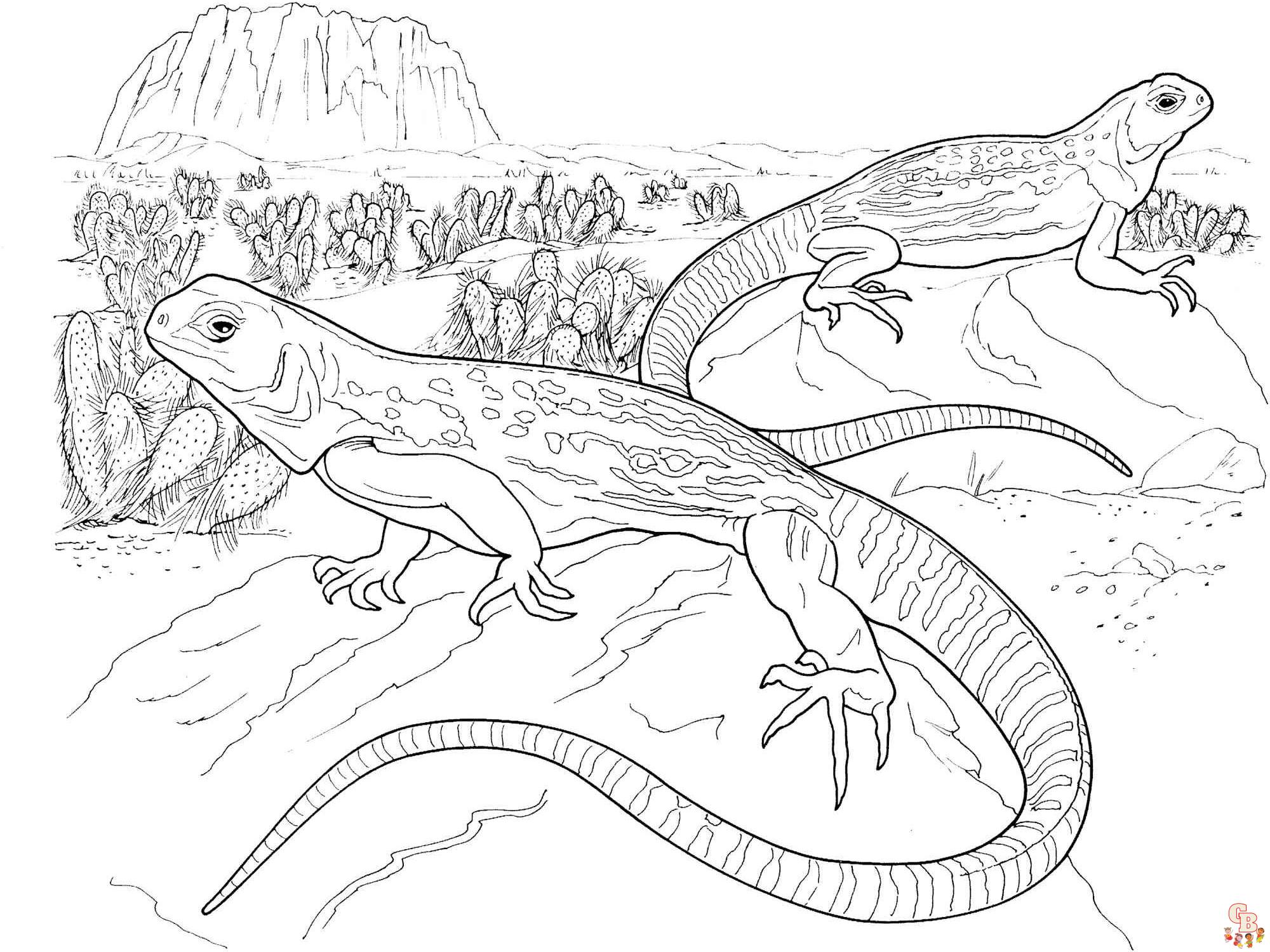 Bearded Dragon Coloring Pages 7