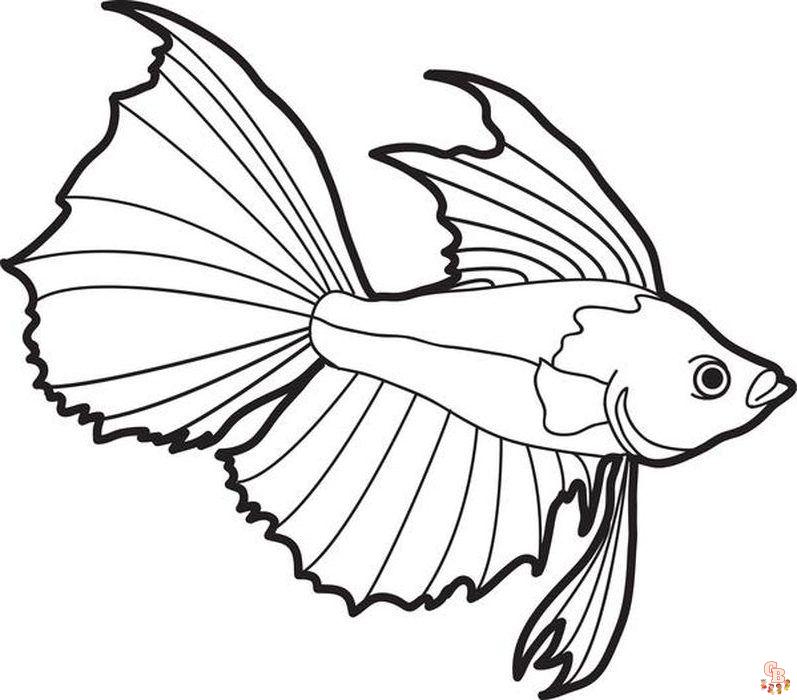 Betta Fish Coloring Pages 2