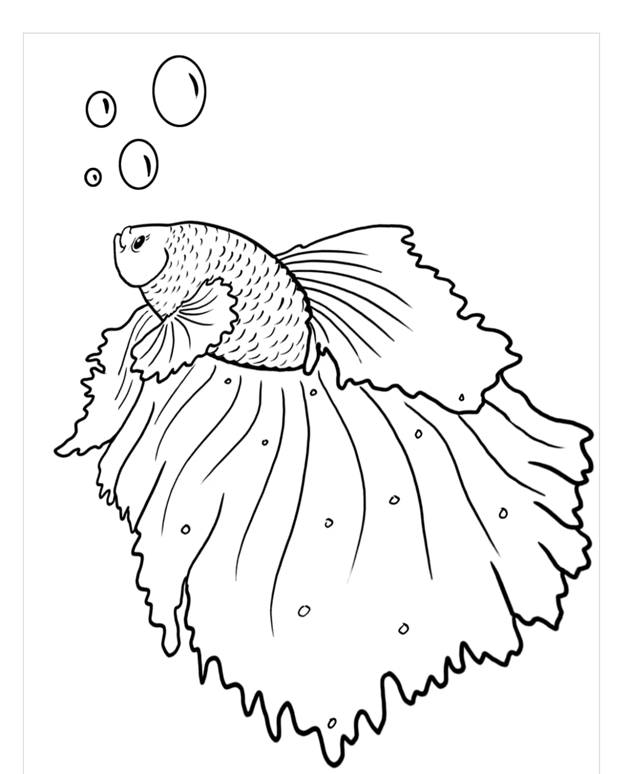 Betta Fish Coloring Pages 3