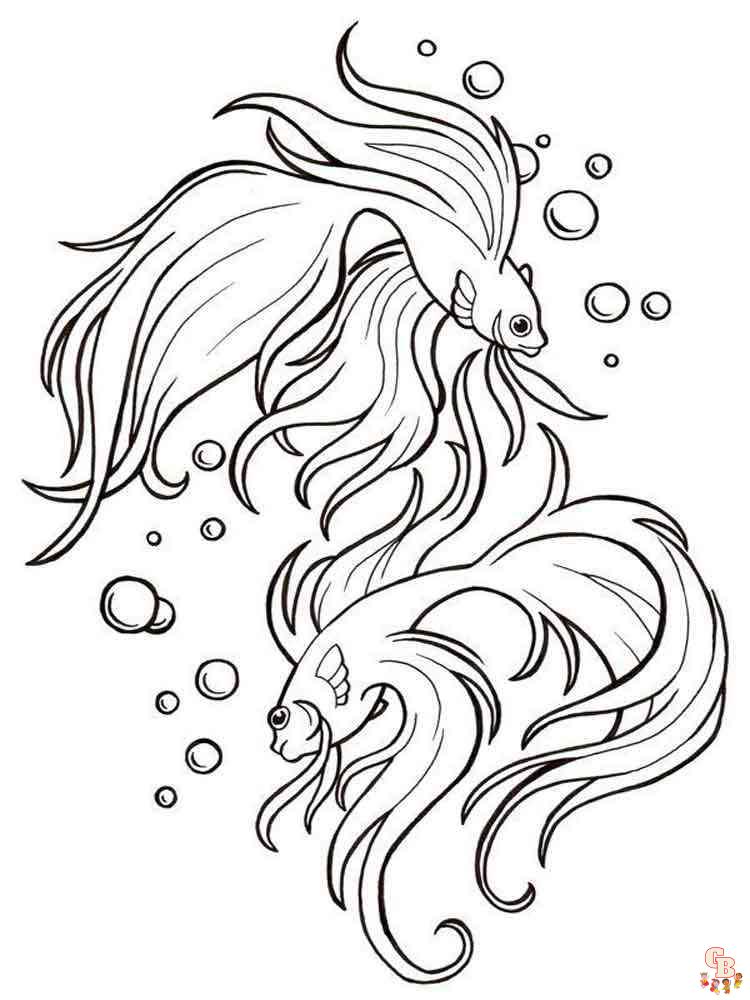 Betta Fish Coloring Pages 5