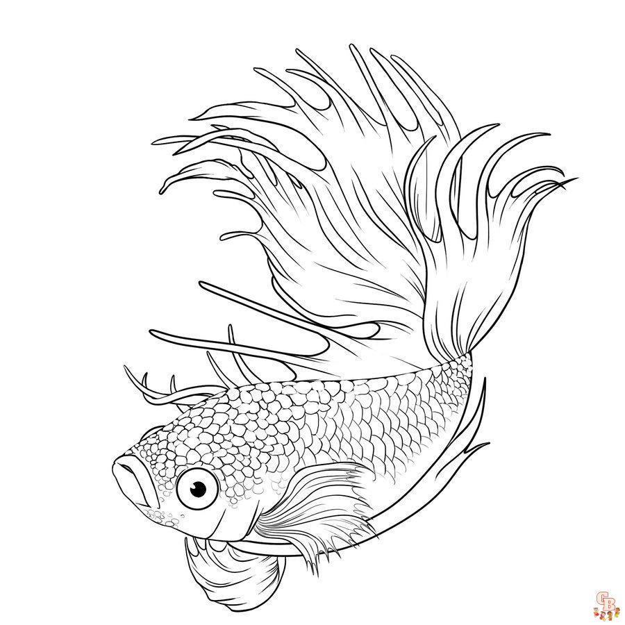 Betta Fish Coloring Pages 7