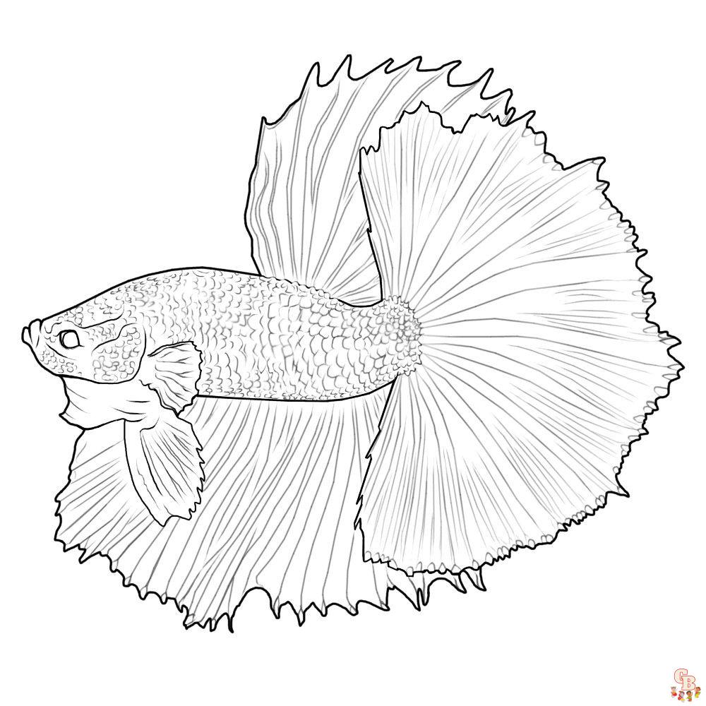 Betta Fish Coloring Pages 9