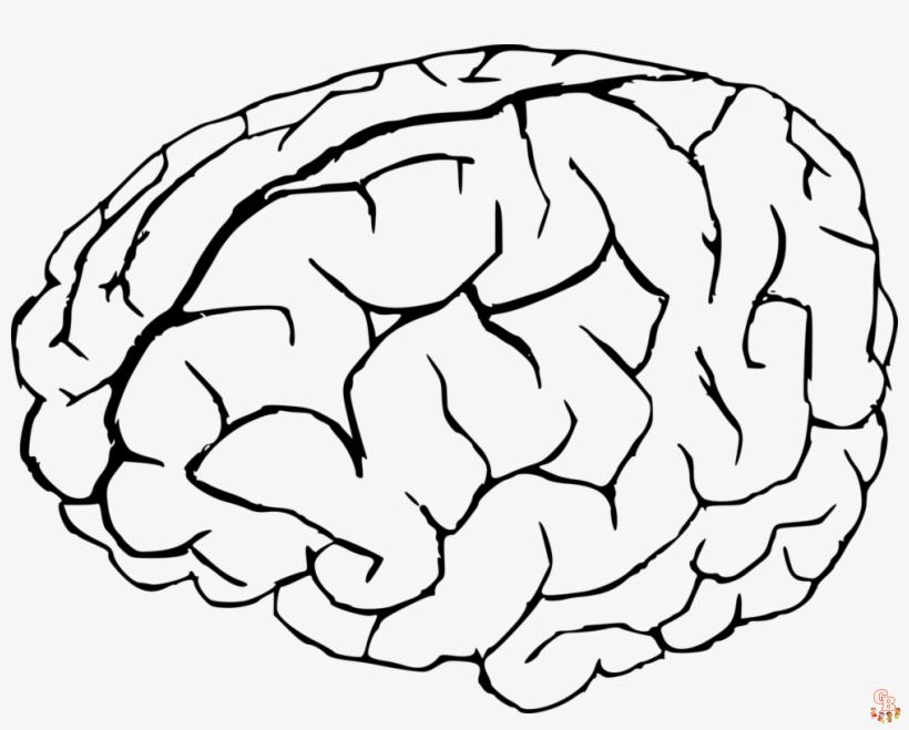 Brain Coloring Pages 2 1