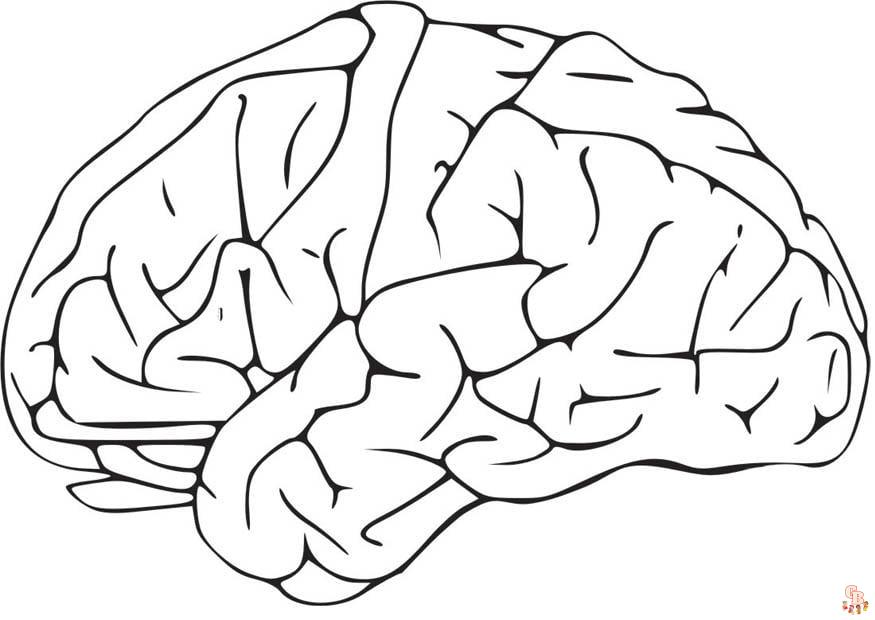 Brain Coloring Pages 3