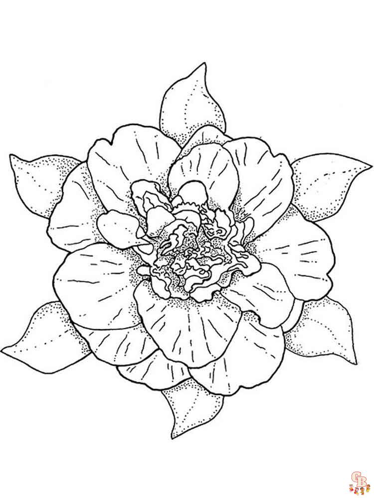 Camellia Coloring Page 5