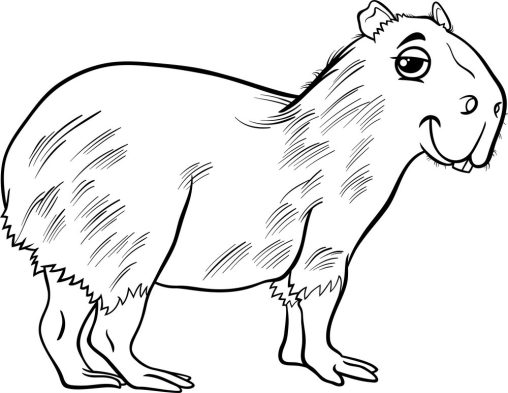 Color Your World With Capybara Coloring Pages - Gbcoloring