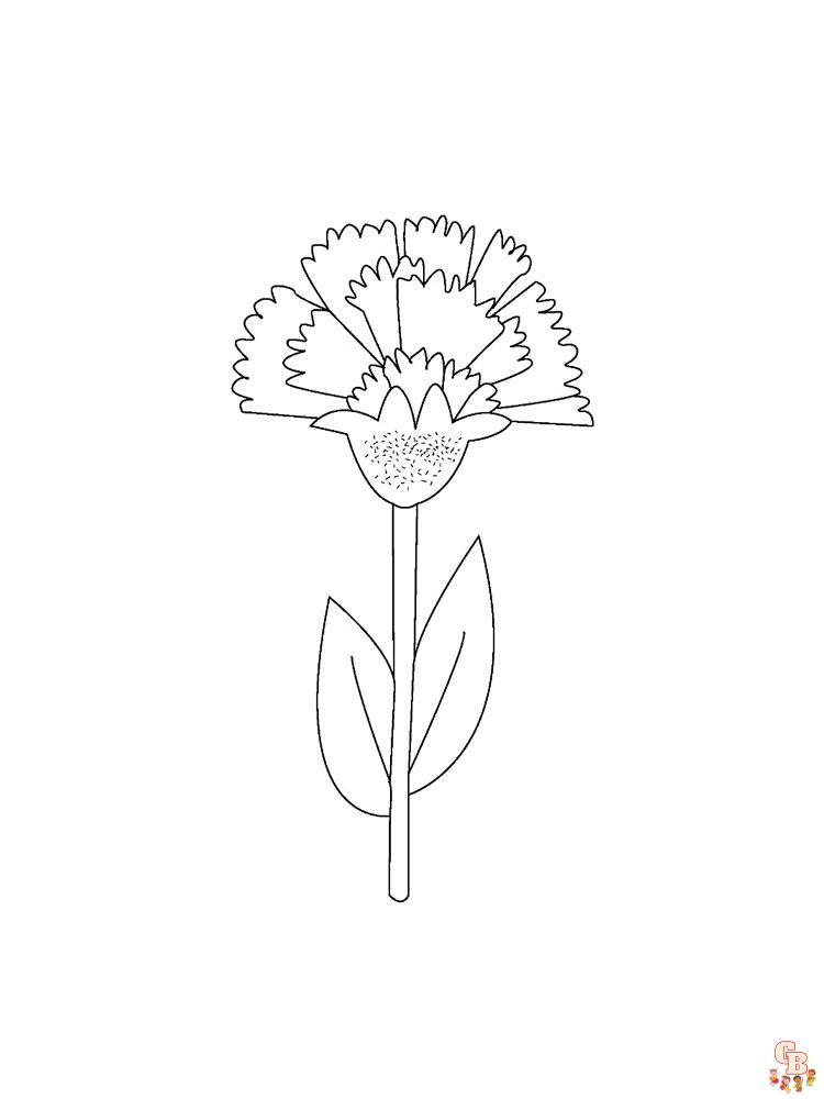 Carnation Coloring Pages 14
