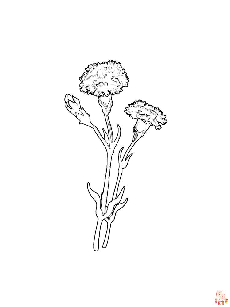 Carnation Coloring Pages 15
