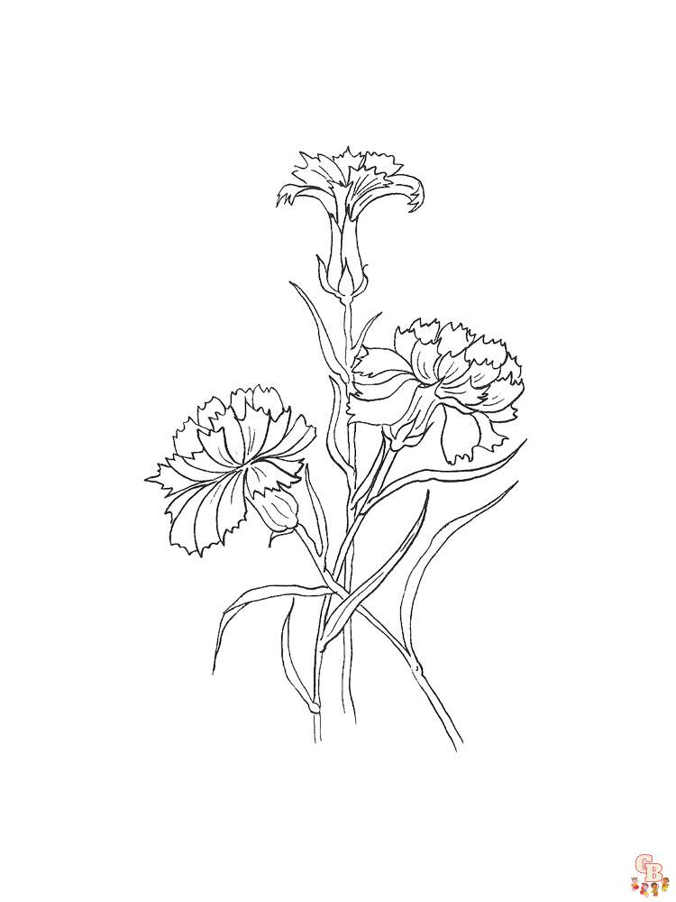 Carnation Coloring Pages 16