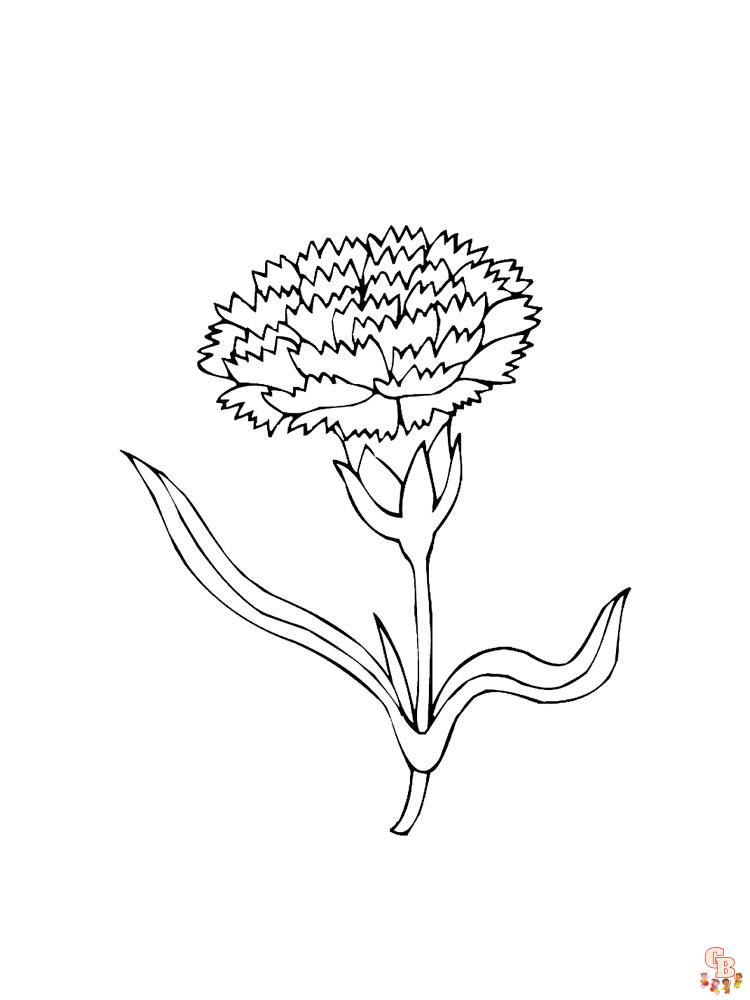 Carnation Coloring Pages 17
