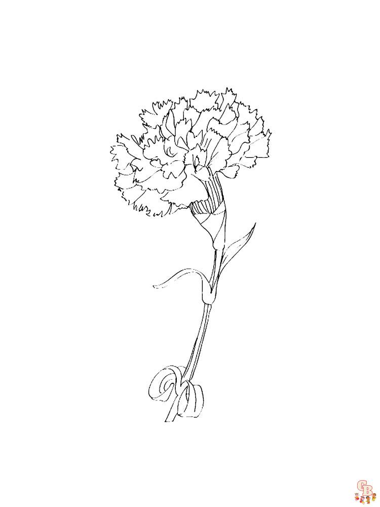 Carnation Coloring Pages 18
