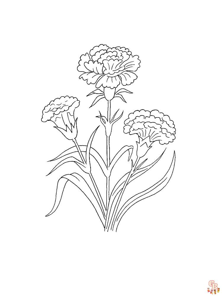 Carnation Coloring Pages 19
