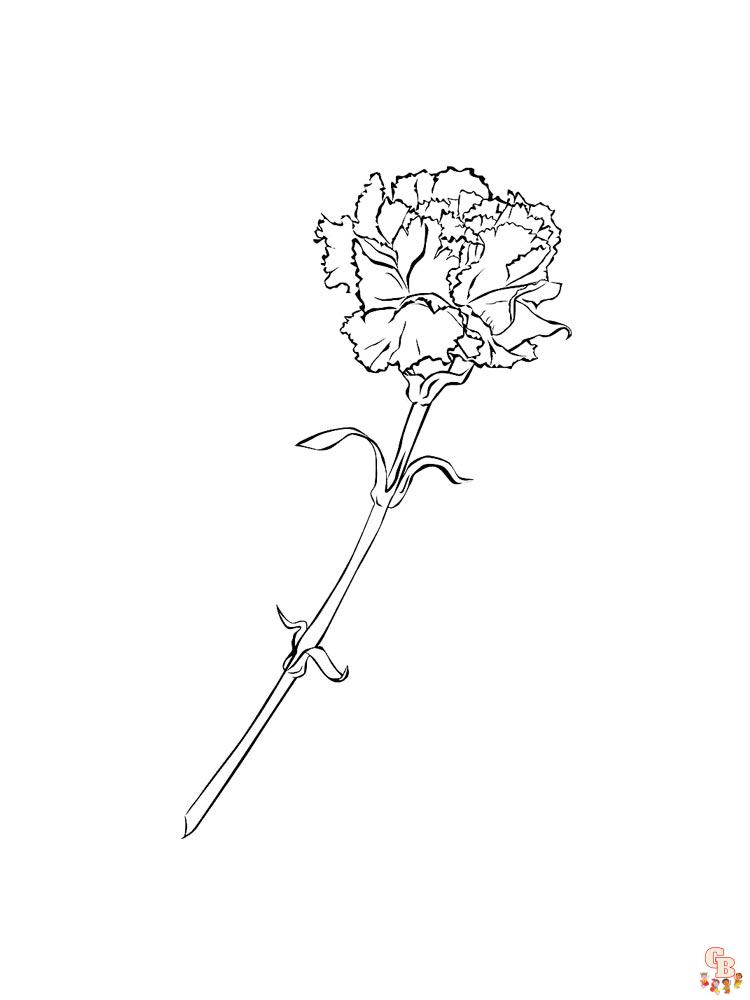 Carnation Coloring Pages 20