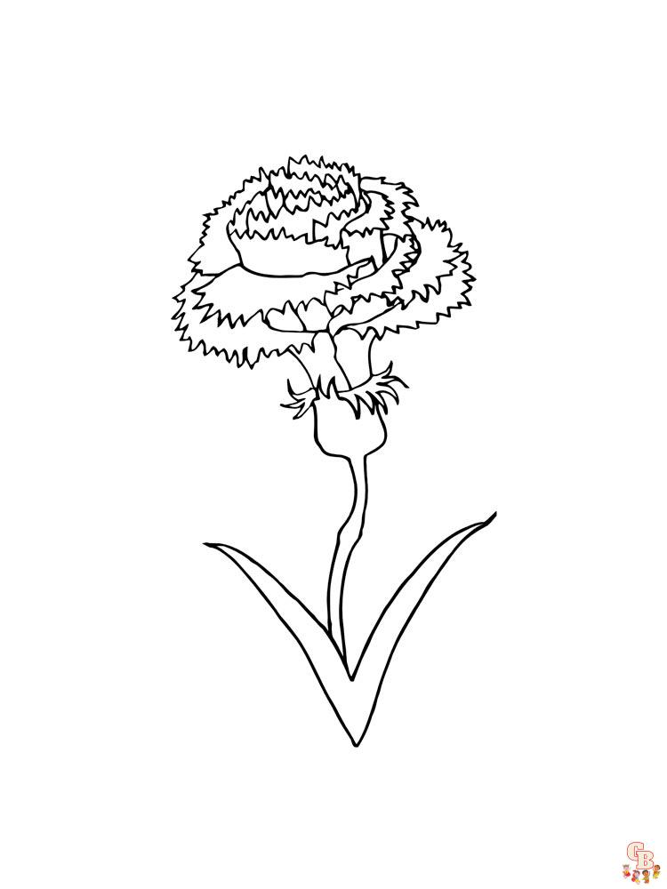 Carnation Coloring Pages 22