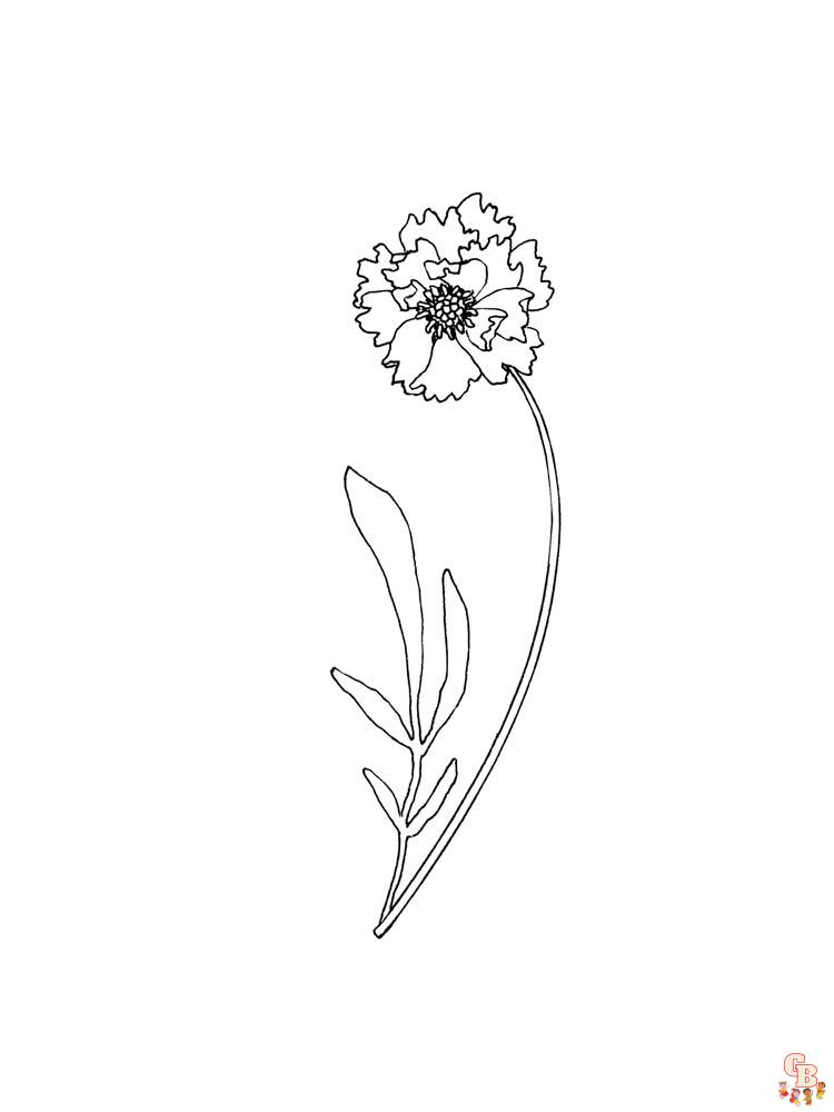 Carnation Coloring Pages 23