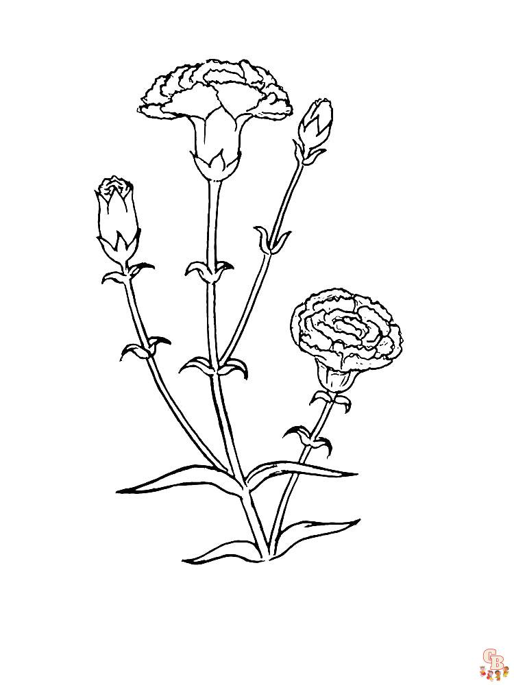 Carnation Coloring Pages 24
