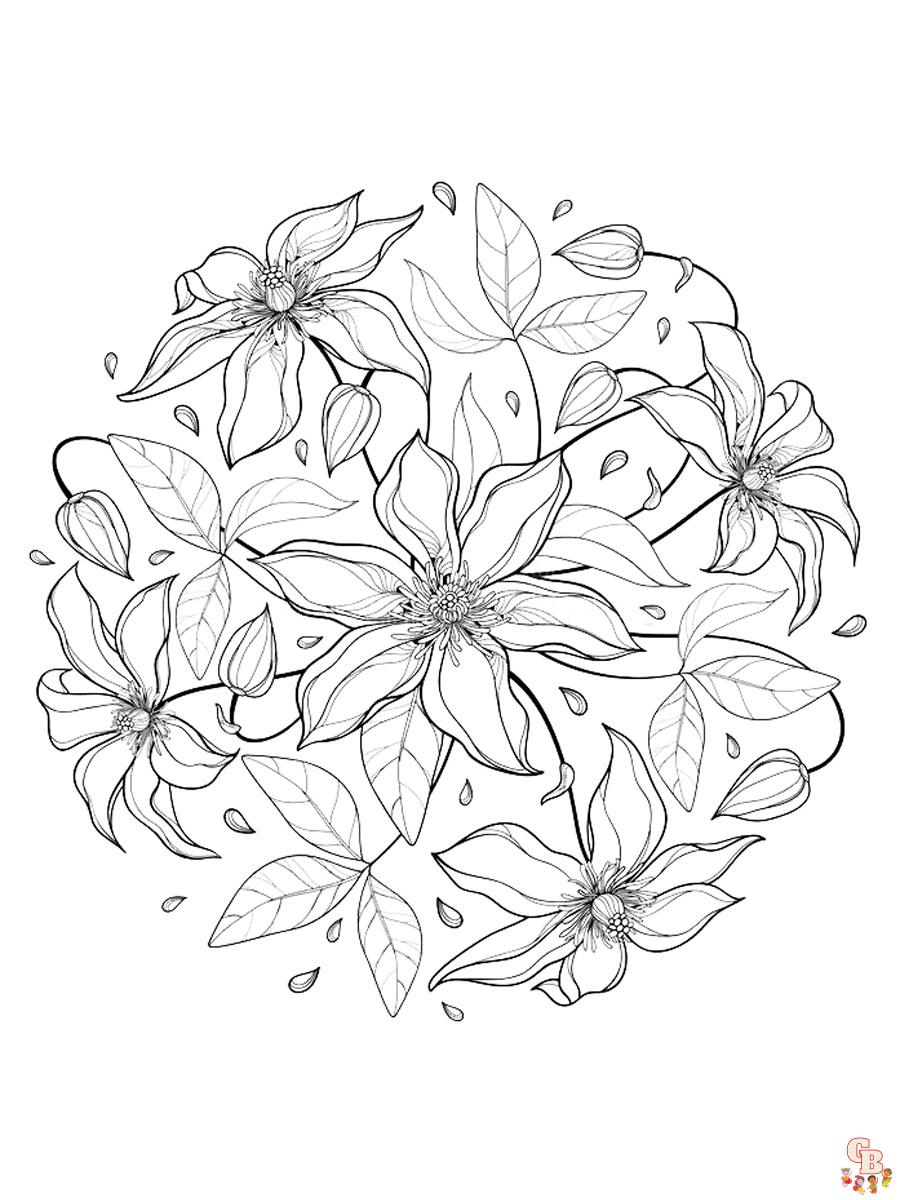 Clematis Coloring Pages 4