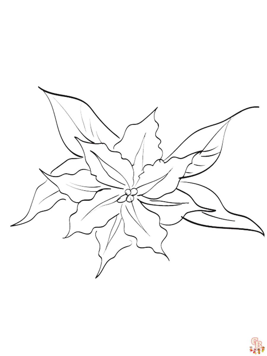 Clematis Coloring Pages 7