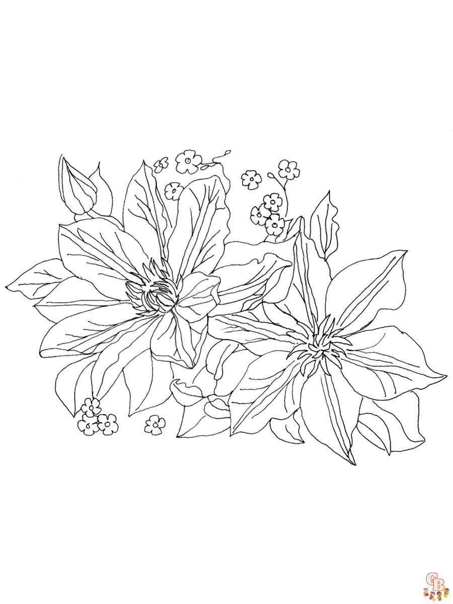 Clematis Coloring Pages 8