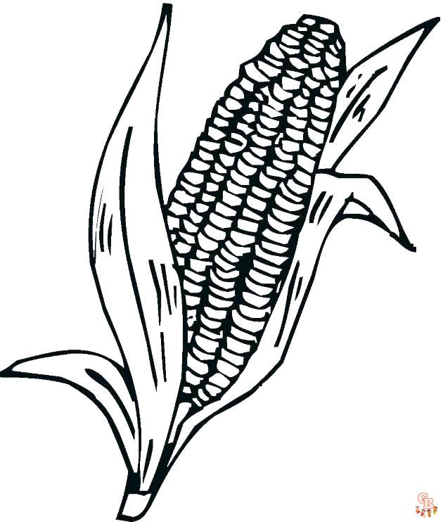 Corn Coloring Pages 5