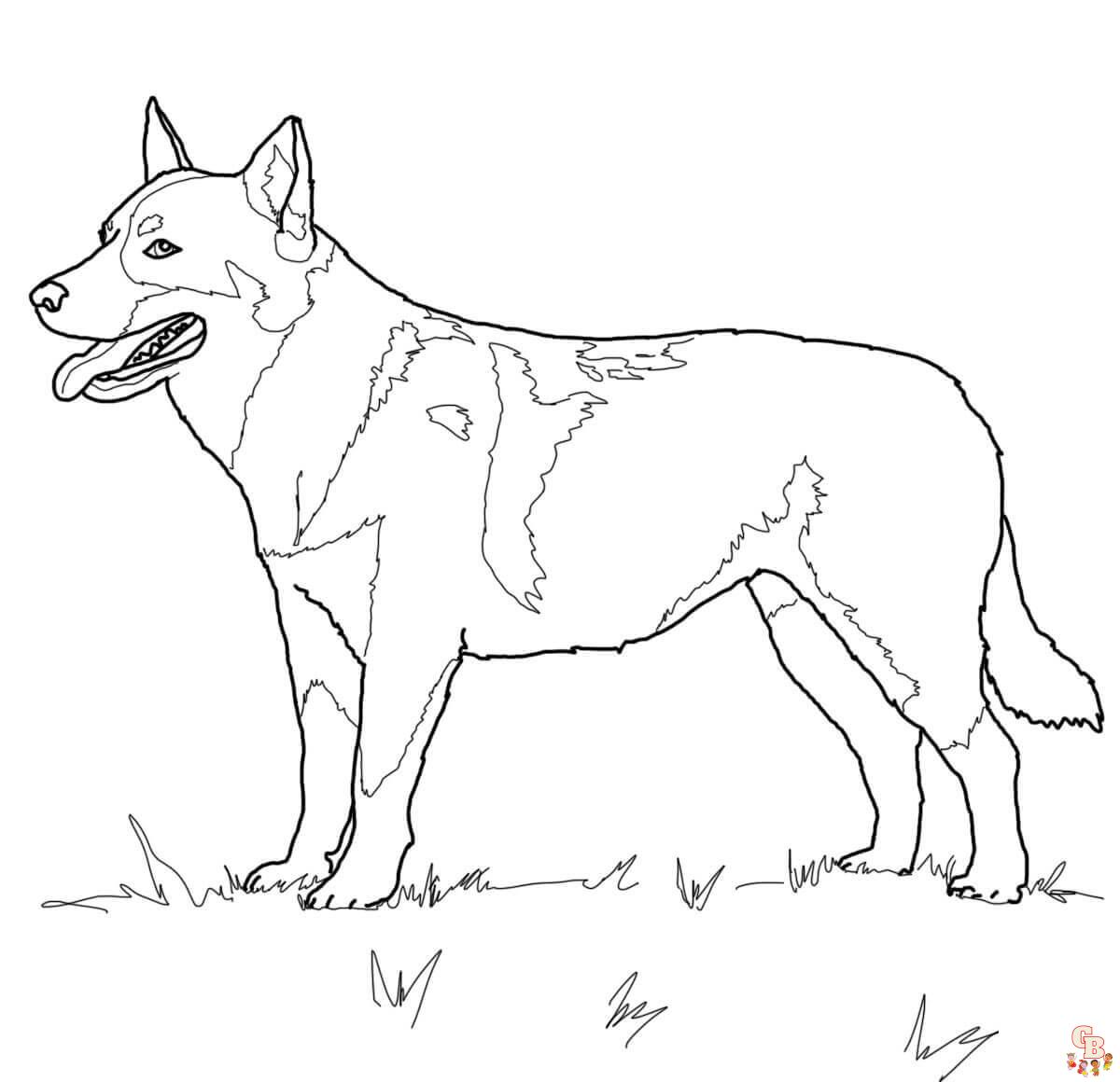 coloring pages of german shepherds
