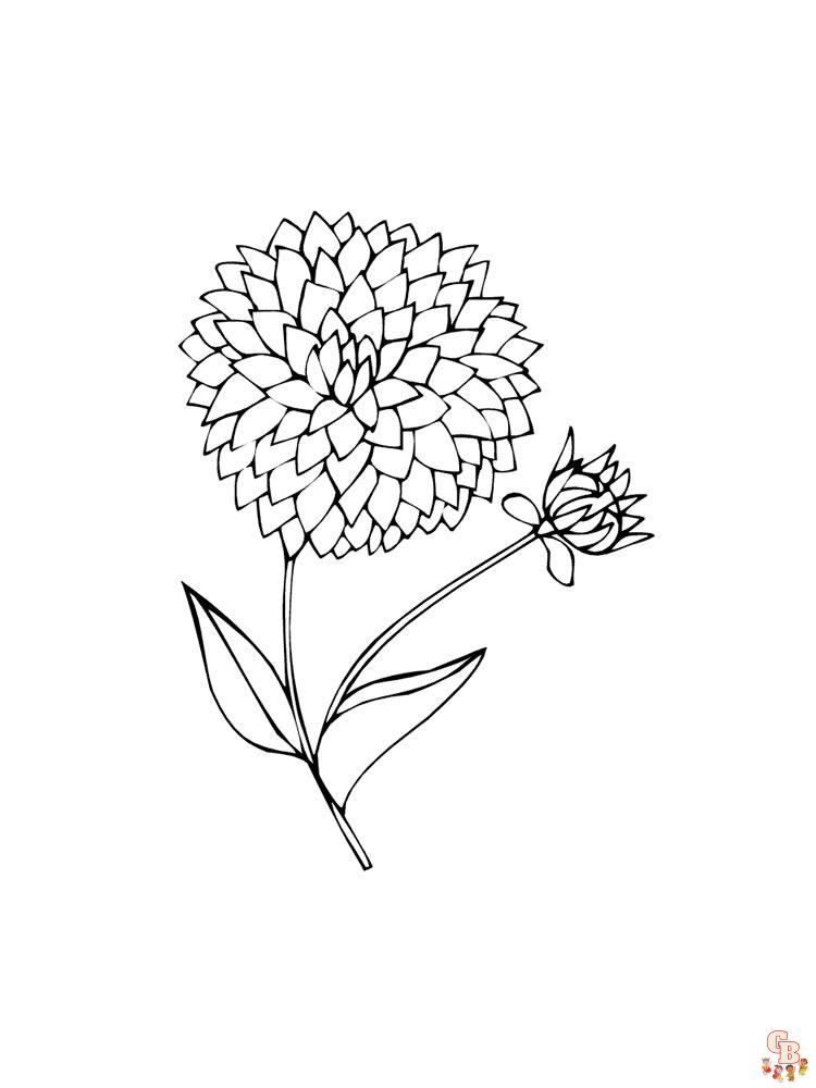 Dahlia Coloring Pages 10