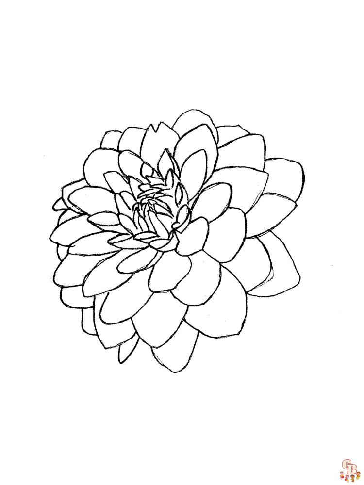 Dahlia Coloring Pages 11