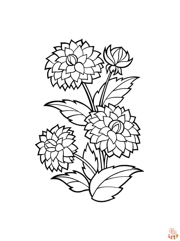Dahlia Coloring Pages 16