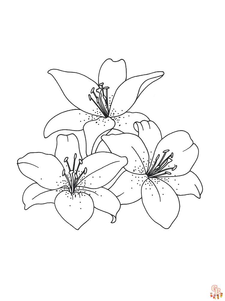 Desert Lily Coloring Pages 1