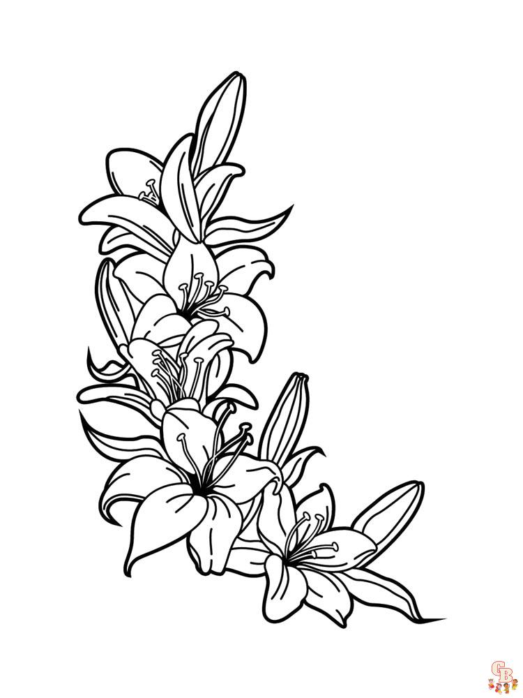 Desert Lily Coloring Pages 14