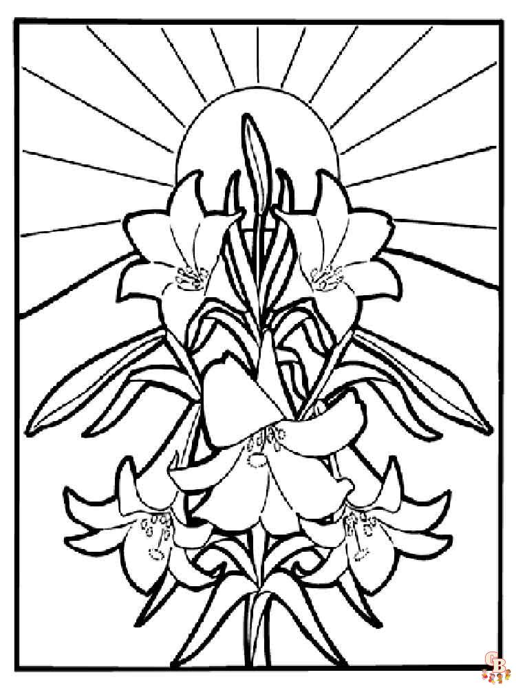 Desert Lily Coloring Pages 15