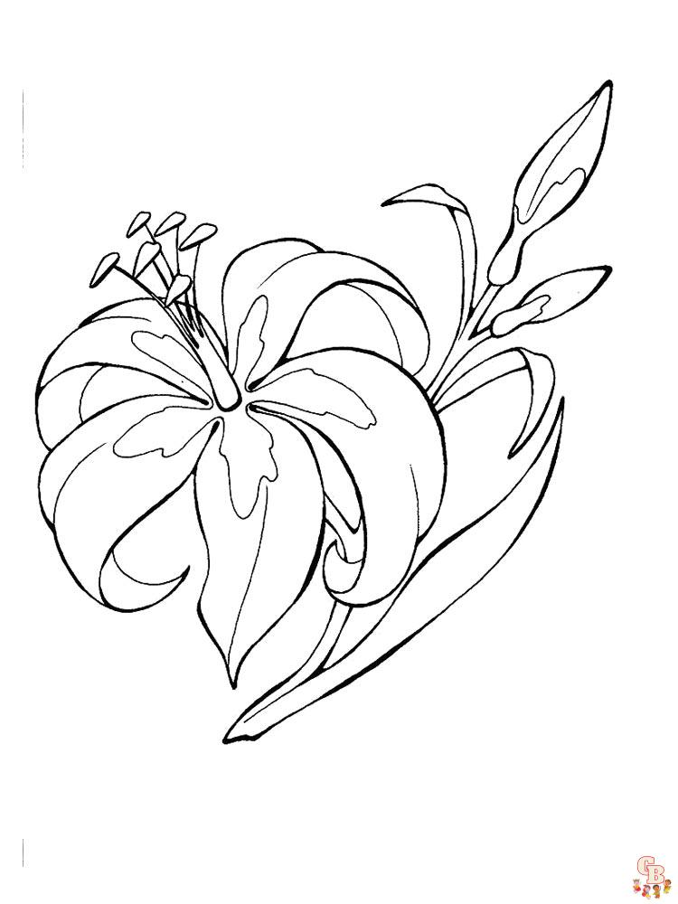 Desert Lily Coloring Pages 6