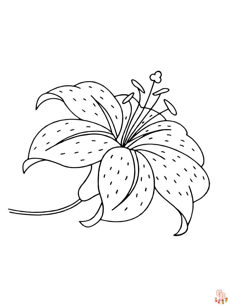 Desert Lily Coloring Pages 9